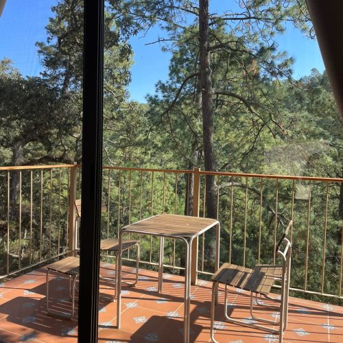 WhatsApp Image 2026-03-20 at 9.30.49 PM